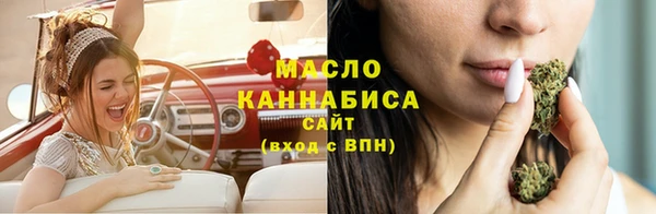тгк Богородицк