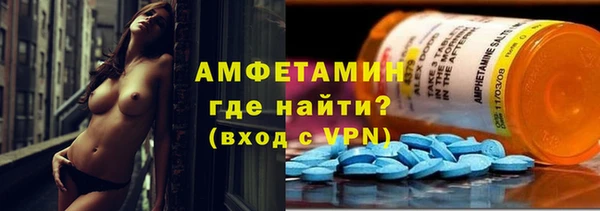дмт Богданович