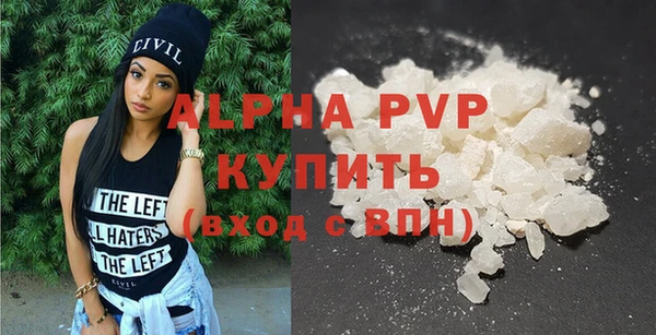 дмт Богданович