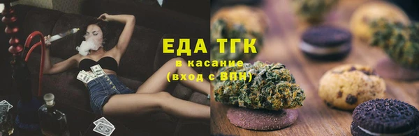 дживик Бородино