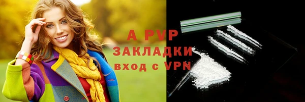дживик Бородино