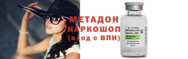 дмт Богданович