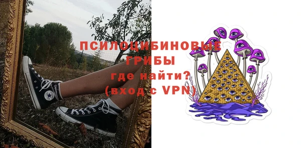 a pvp Богородск