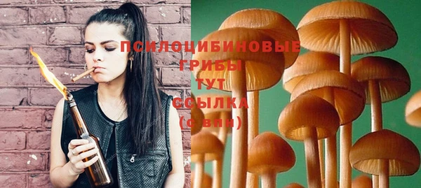 дурь Ладушкин