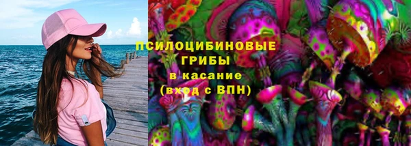 тгк Богородицк