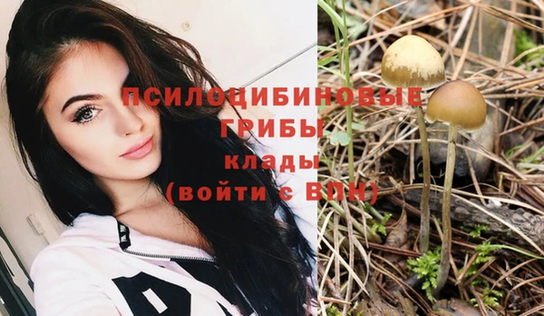 тгк Богородицк