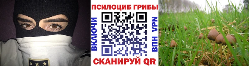 Галлюциногенные грибы прущие грибы  Гусев 